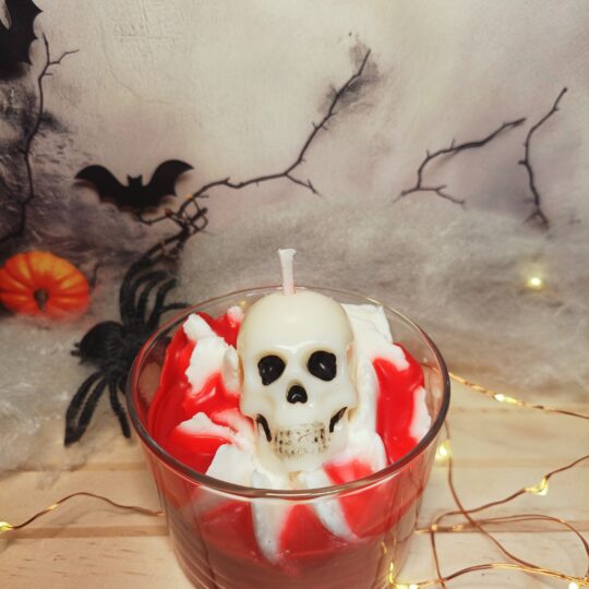 IMG20251015192139 Bougie tête de mort